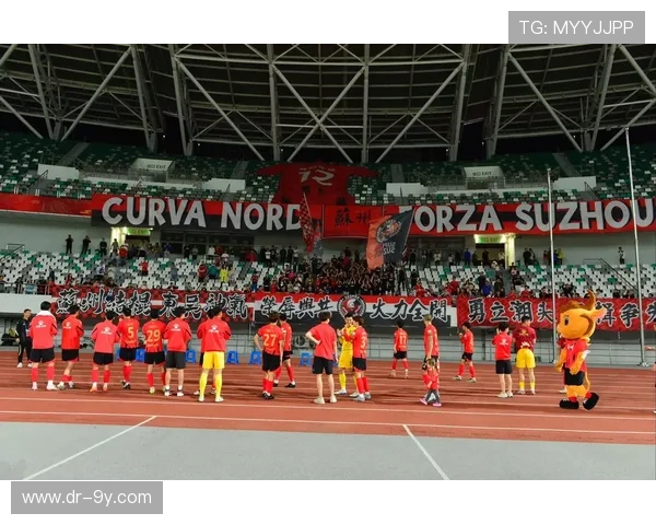 围绕南通足球比赛队旗展示球迷文化与城市激情主题活动纪实全景描绘 围绕南通足球比赛队旗展示球迷文化与城市激情主题活动纪实全景描绘