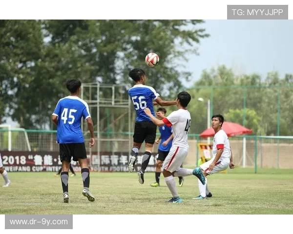 以大连足球青训LTFC推动区域青少年全面发展创新实践探索之路 以大连足球青训LTFC推动区域青少年全面发展创新实践探索之路